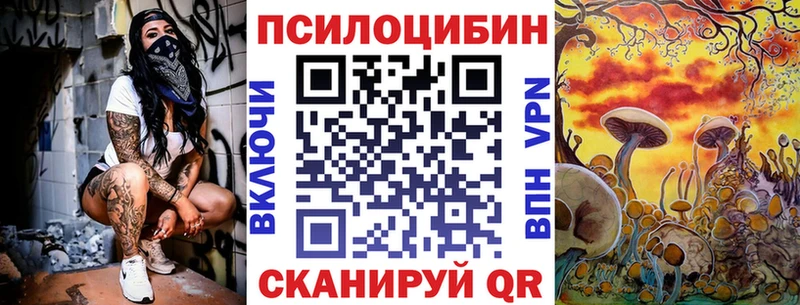Псилоцибиновые грибы Psilocybine cubensis  магазин продажи наркотиков  Елизаветинская 